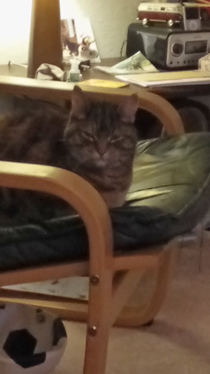 I think someone is missing <a href="/P9ADV/">Craig Walmsley</a> she never sits on his chair