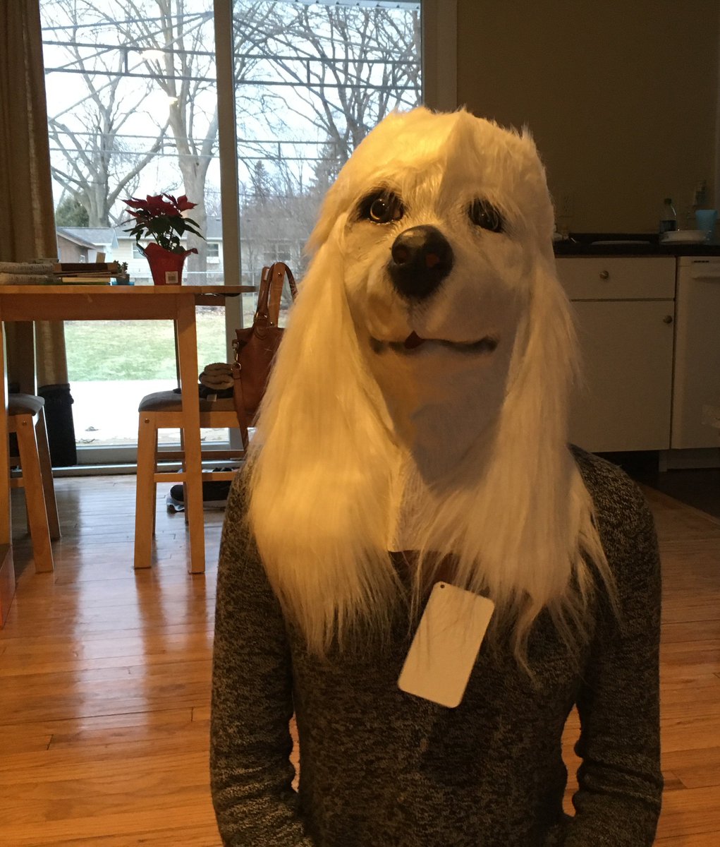 DunkeyFanMail's tweet image. the new tekken character