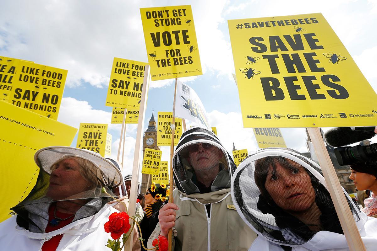 newscientist's tweet photo. Emergency clause lets European countries beat bee pesticide ban https://t.co/hQBuUP91Bu https://t.co/SSQHOhirSr