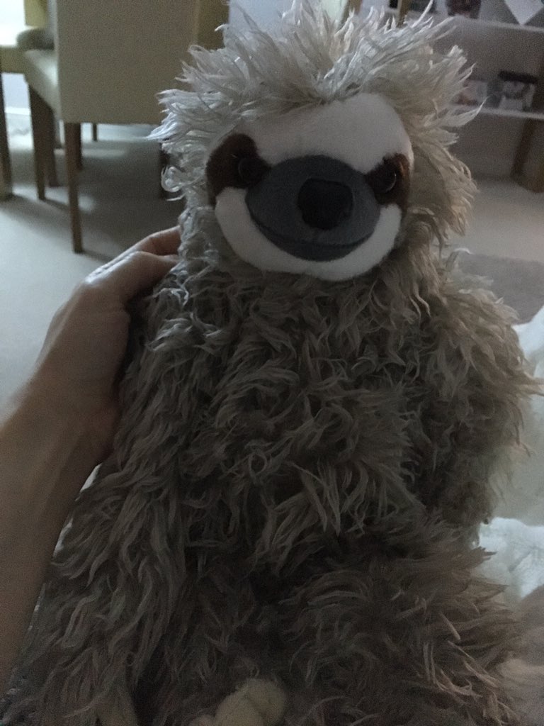 MatRubberDuck's tweet photo. @GiraffyDuck @hammamelis oh and sloth... he's so hairy?! I don't understand hair... #baldyMatty #sleekAndSmooth https://t.co/FrVQvYrbk4