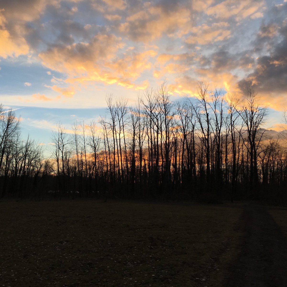 LeftoverPi's tweet image. 