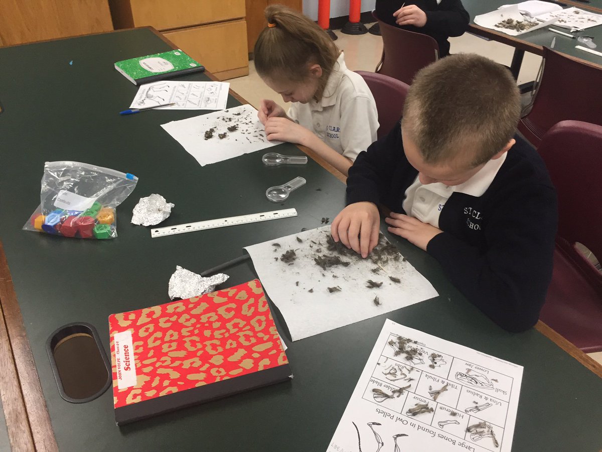 stclaresi's tweet image. #scsscience