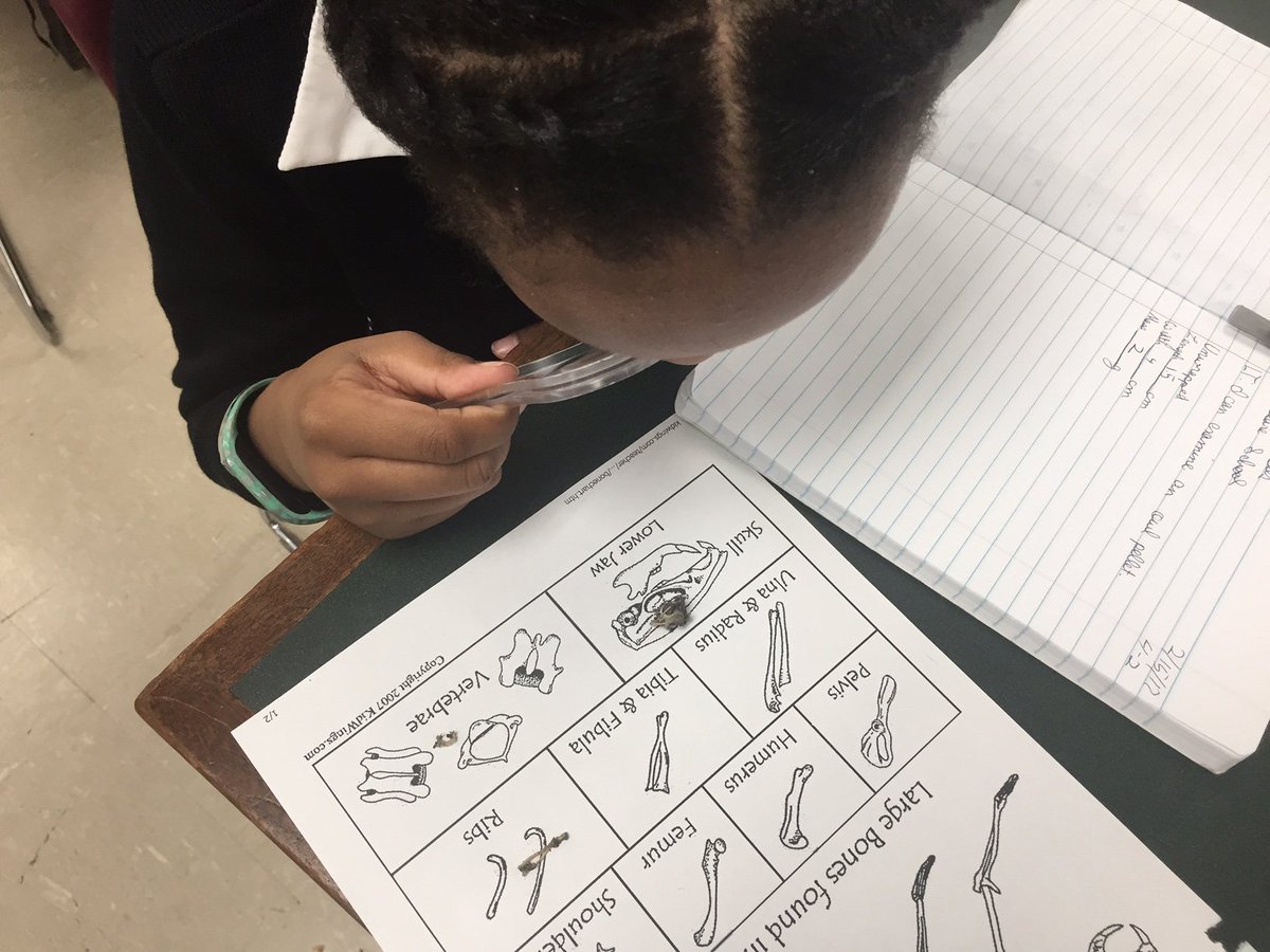 stclaresi's tweet image. #scsscience