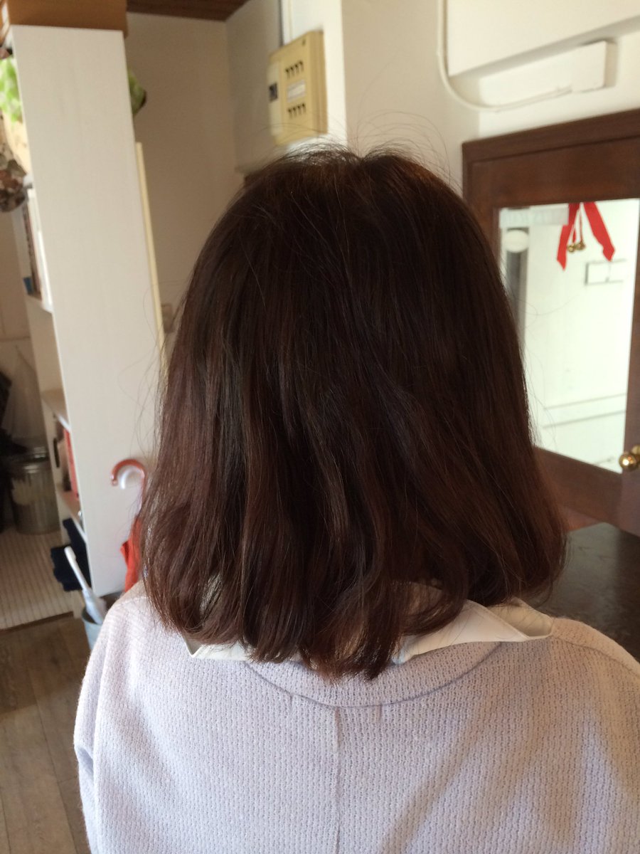 篠田アキノブ ボブにカットした過程を長さは顎よりちょい長め ボブ 黒髪ボブ ボブ好き 髪の毛 原宿美容室nutshair 篠田アキノブ T Co Nazudqk6st Twitter