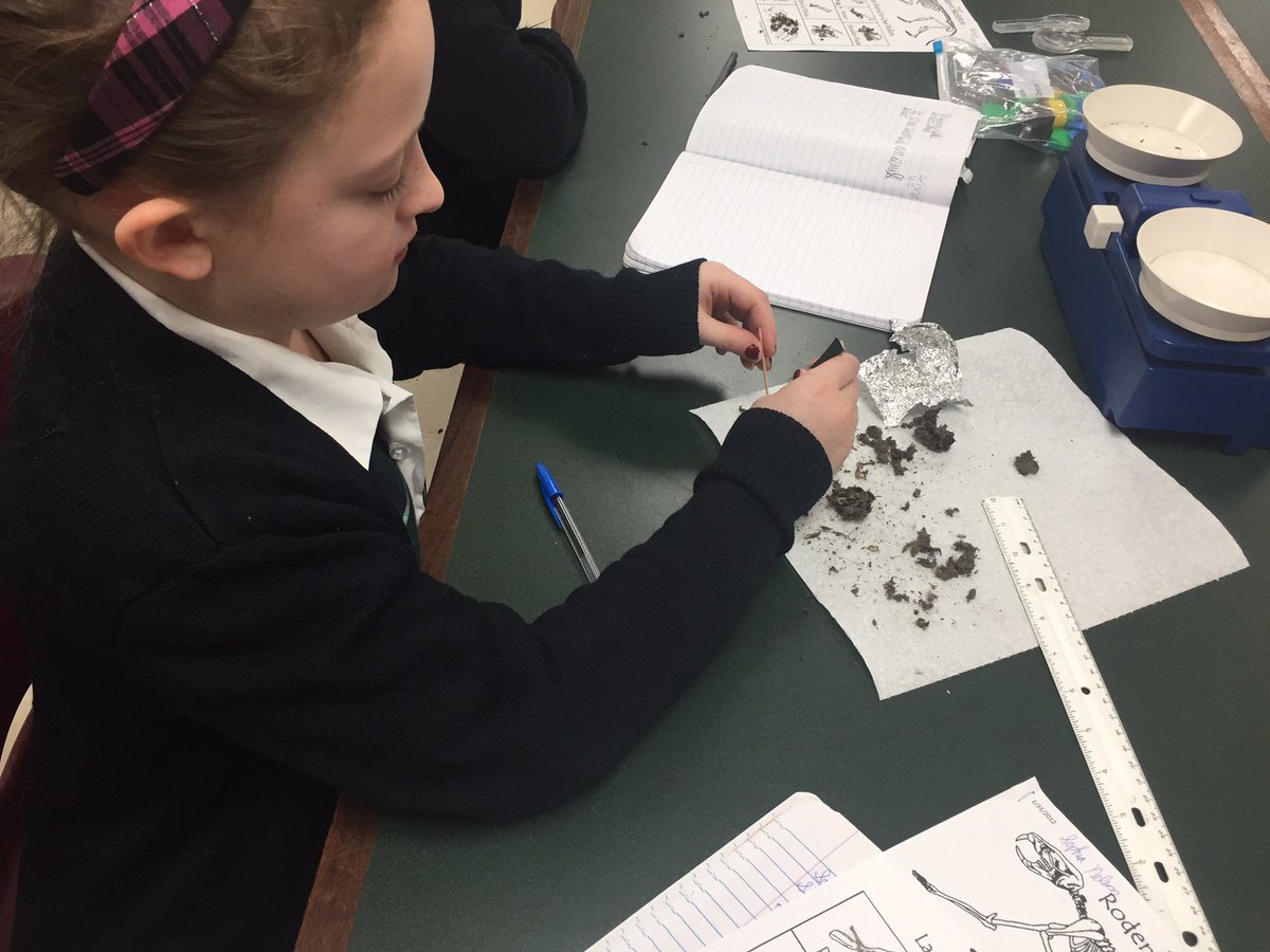 stclaresi's tweet image. #scsscience