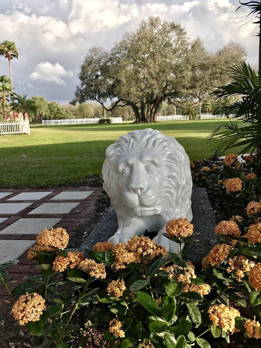 RanchRh's tweet photo. #agritourism #lovelakeland #weddings #events #vintage #lakeland #florida #divinedesigns #needtheraintoday #rustic https://t.co/gcaNGYCS8B