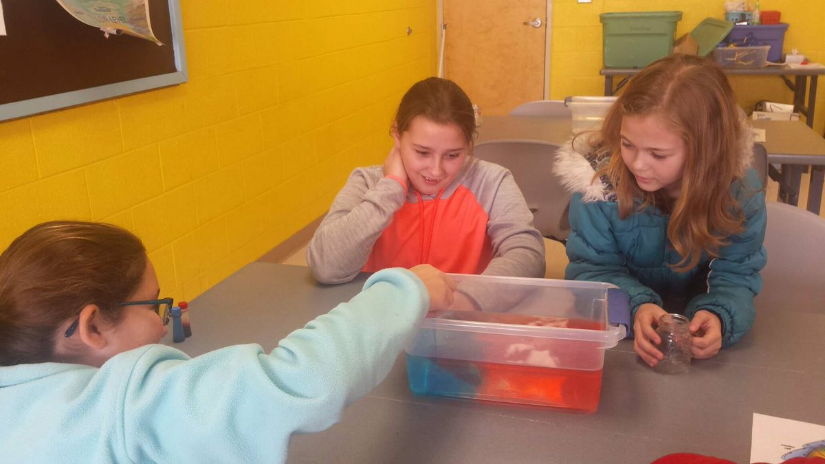 mes_bulldogs's tweet photo. Ms. @MonicaGAllen4 up to her elbows  in 🖐hands on learning! Digging in deep for student engagement! @McDowell590 #mcdowellinspires https://t.co/0wZ42JeqF8