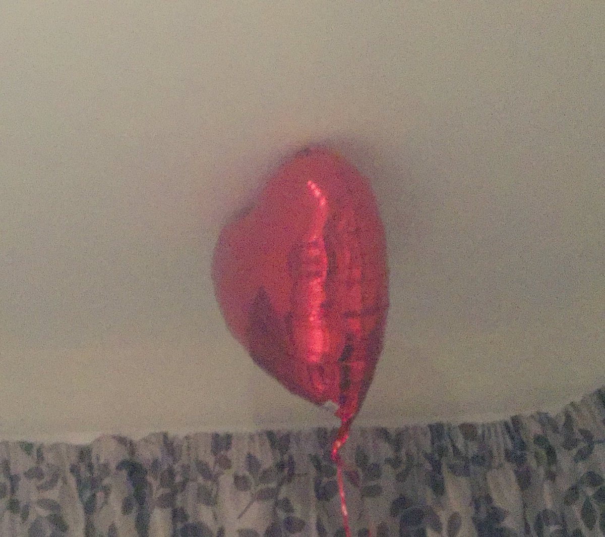 MadMadders's tweet photo. When your fuck buddy gives you a heart shaped balloon, "cause you were alone on v-day"... mhmmmmm 🙄😶🙃 #confused https://t.co/G1ZIlIJsXH