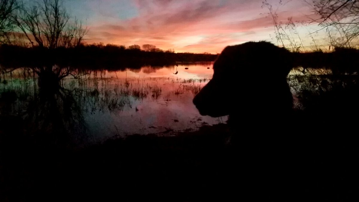 Beakbuster_23's tweet photo. Me and my girl Nelli, this was her second time out hunting @Gunner_Kennels #gunnereffect https://t.co/aa8ckwf04f