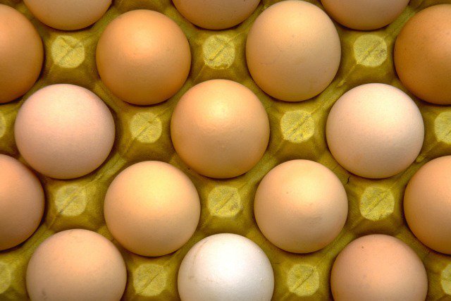 DAFFgov's tweet photo. You’d be shell-shocked how many egg products we withheld in the last year—5675, a 17% increase #Bio2016 https://t.co/z8W48nIOBn