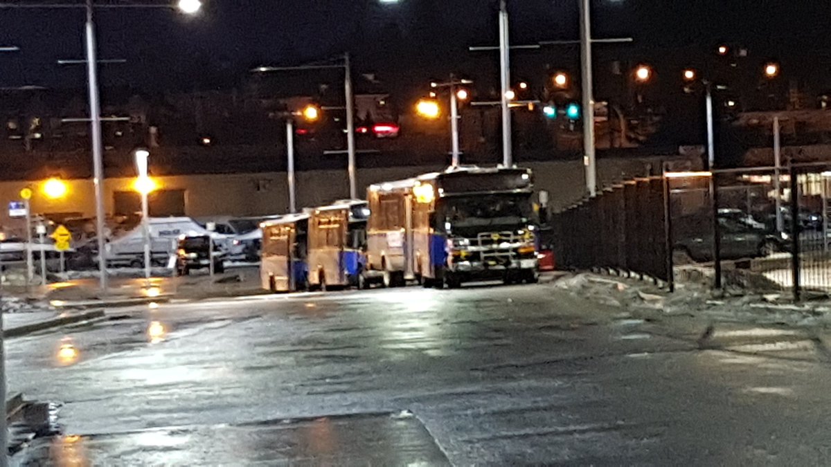 Marcus New tweet media