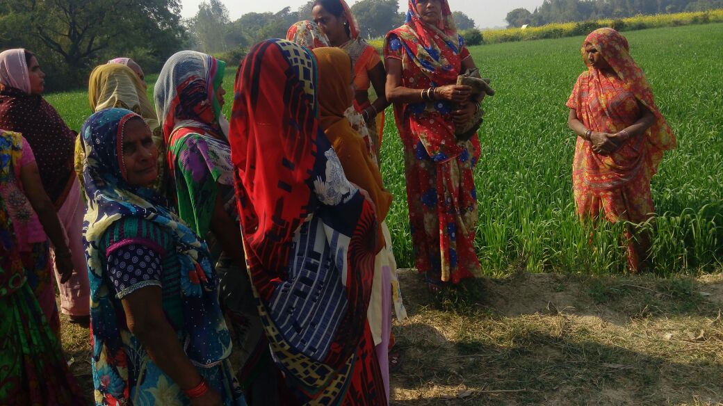 RGMVP's tweet photo. Use compost, produce their own seed for paddy and wheat,raise kitchen gardens and double agricultural income-goal of #SHGs @RGMVP #RGCTIndia https://t.co/rsKRhvZTzU