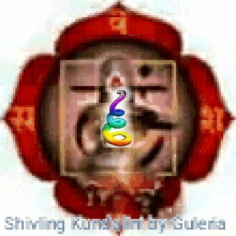 GuleriaExport's tweet photo. Base of SOUL Root Muladhar Chakra ,awake by mantra join https://t.co/raEUbflOdv