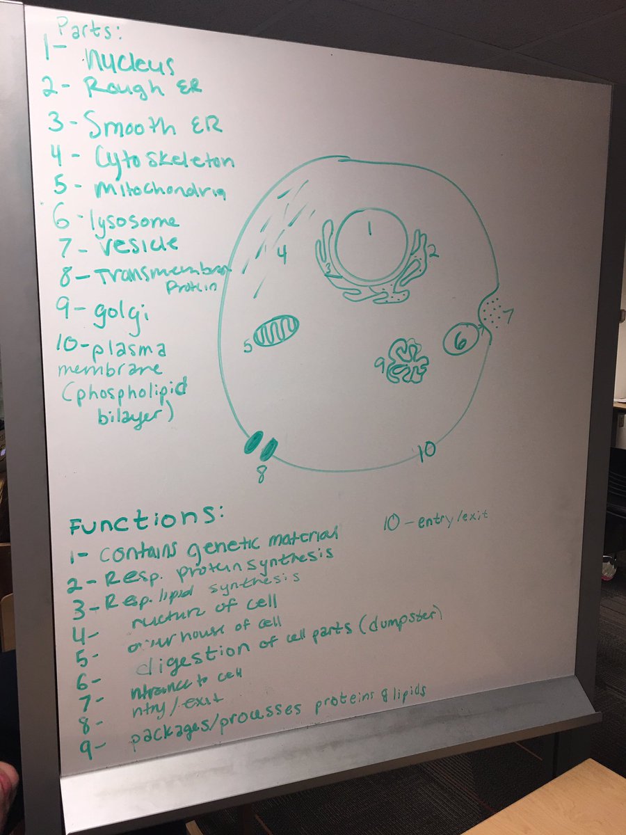 VitaminJSays's tweet photo. Founders takes studying the cell very seriously. #SmartResidents #LostInFounders #ResLife https://t.co/Bstc8DL3oT