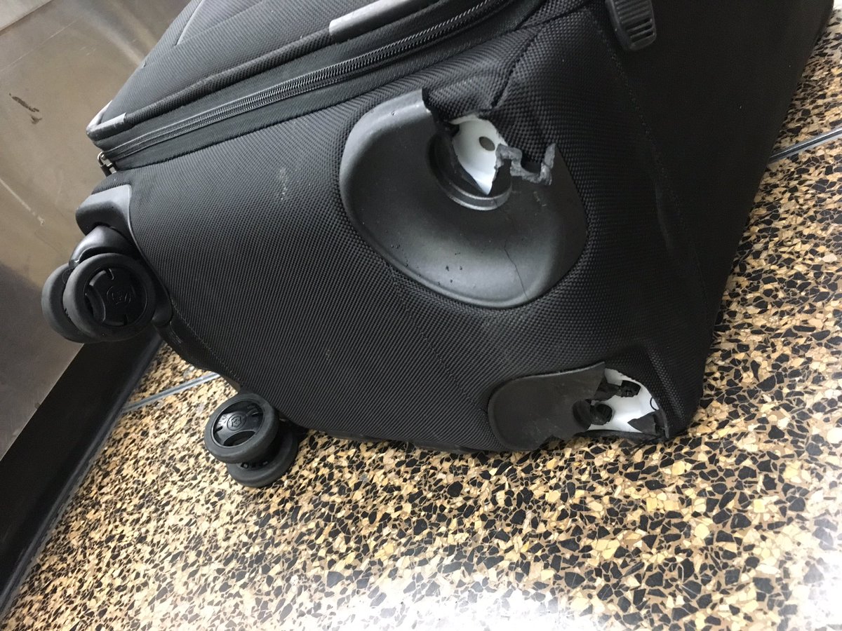 Simone Kalmakis tweet media