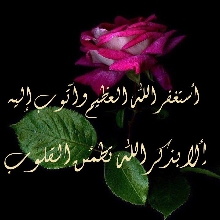 Bdryah_abdullah's tweet photo. 🌟🌙إِنَّهُ كانَ غَفّارًا🌟🌙
استغفر الله الذي لا إله إلا هو
الحي                               القيوم وأتوب إليه https://t.co/JIs8tuqfnb