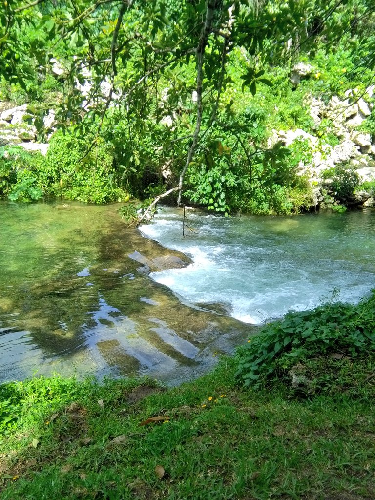 Emprez's tweet photo. An awesome spot to spend a #hot Sunday for abit of #coolbreeze and a #Fresh dip in #coolwaters. #RarruRiver #Efate https://t.co/gyu0eg2Utt