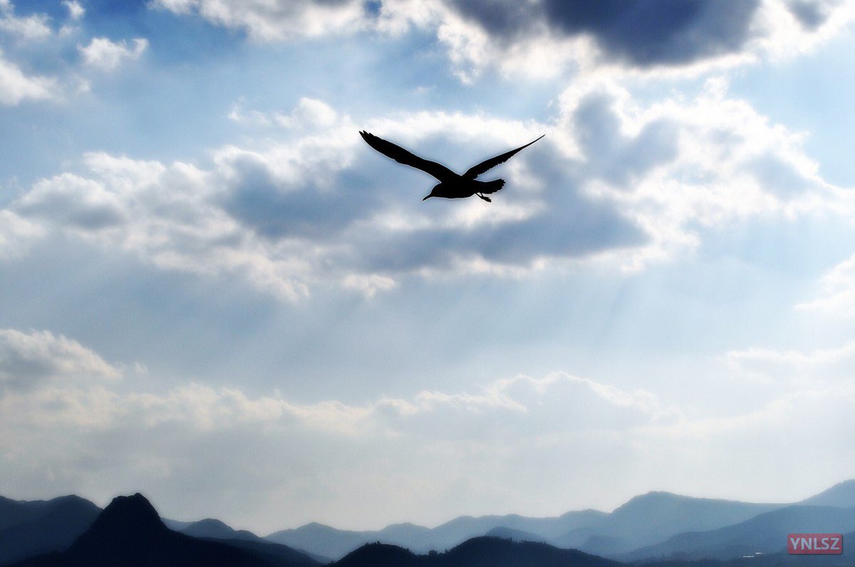 YNLSZ's tweet image. 抚仙湖，尖山风景