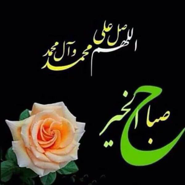 نور مشرق tweet media