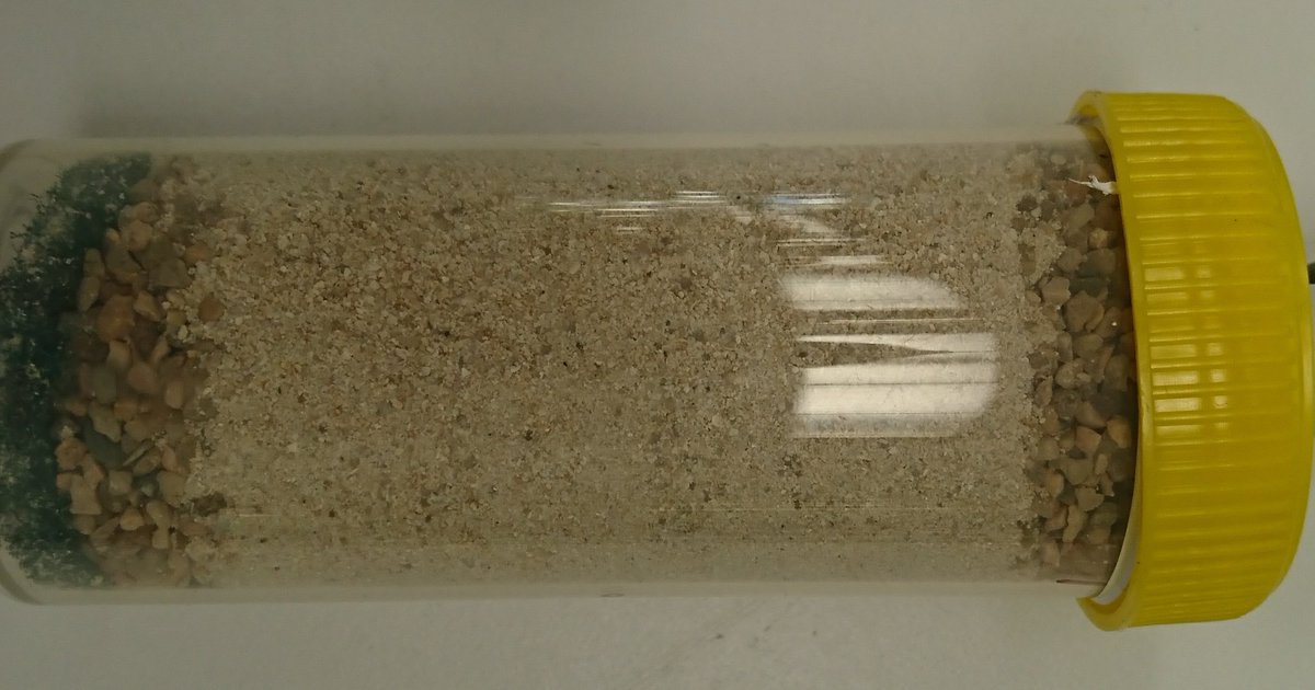 LeeHudek's tweet photo. Using #bacteria we can transform the sand in these vials into #concrete  #bioconcrete @DeakinCeRRF @deakinresearch @MicrobeWorld https://t.co/vOXuSFSvwG