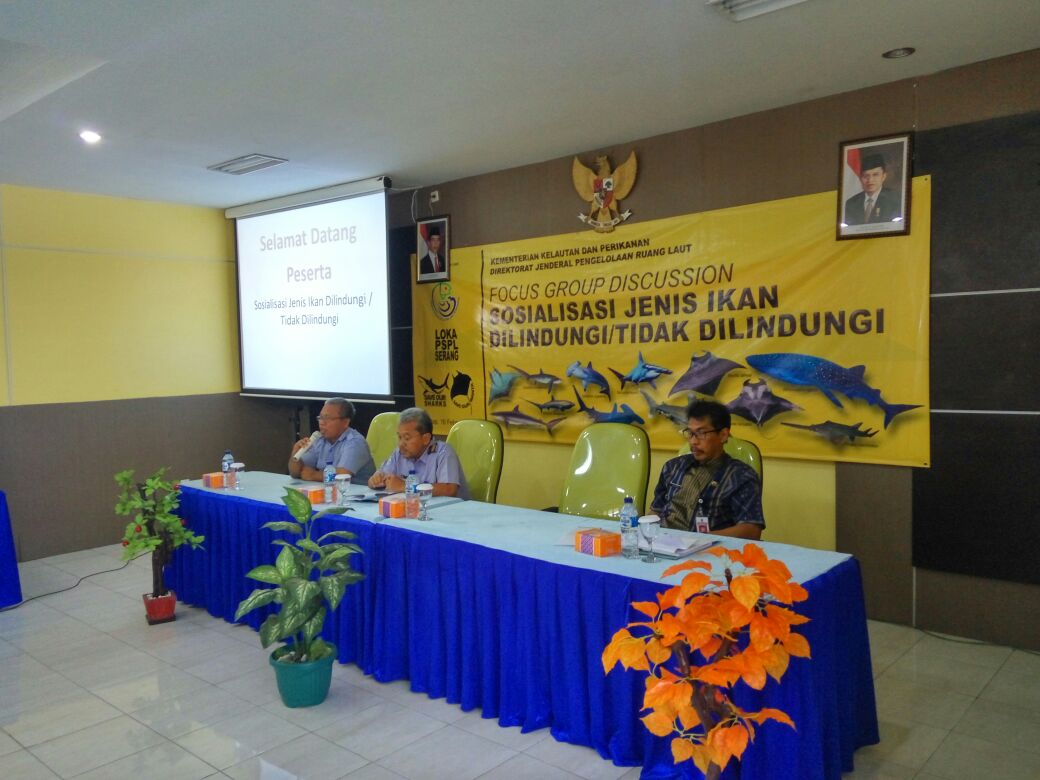#1/3 Focus Group Discussion Sosialisasi Jenis Ikan Dilindungi/Tidak dilindungi terkait Hiu dan Pari 2017. <a href="/DitjenPRL/">Direktorat Jenderal Penataan Ruang Laut</a>