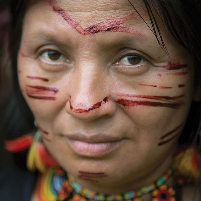amazonwatch's tweet photo. Have you checked out our #ExploreTheAmazon @instagram feed yet? https://t.co/GMqBmLzCeW https://t.co/36yxARn0n5