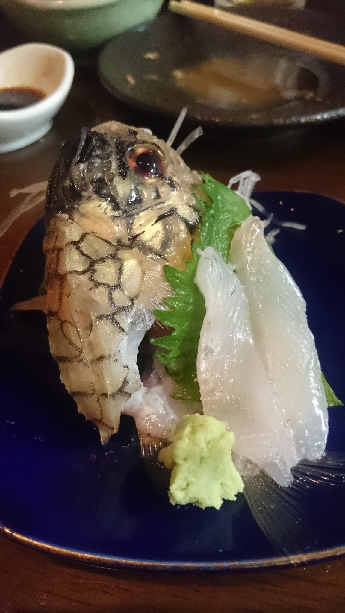 ココ きまぐれな旅人 特別珍しい料理を食べたのでちょっと マツカサウオという魚 全体的に硬く 食べられるとは思えない魚を 刺身にして出していただきました 硬い体とは裏腹に 歯切れのいい身質でおいしかった こういう変わったものが ココ きまぐれな旅人 特別珍しい料理を食べたのでちょっと マツカサウオという魚 全体的に硬く 食べられるとは思えない魚を 刺身にして出していただきました 硬い体とは裏腹に 歯切れのいい身質でおいしかった こういう変わったものが