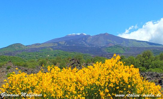 Sizilien, die Sonneninsel, wer noch nicht da war sollte das hier lesen!
italien-inseln.de/urlaub-buchen.…
#Italien #Urlaub