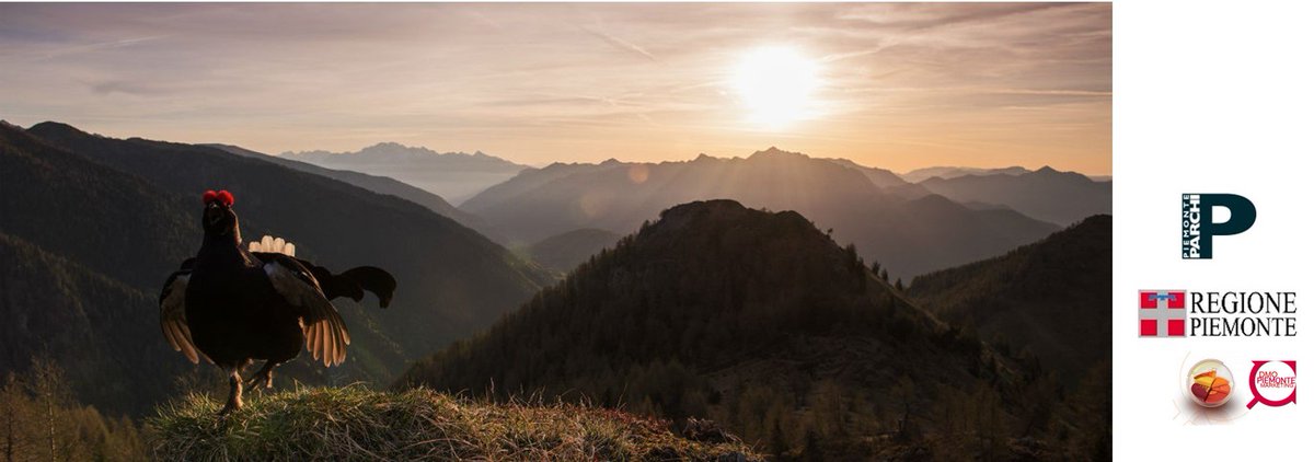 Hai visitato un #parco in #Piemonte? Raccontaci la tua esperienza! bit.ly/2liWgsx  #PiemonteParchi #questions #visitpiemonte