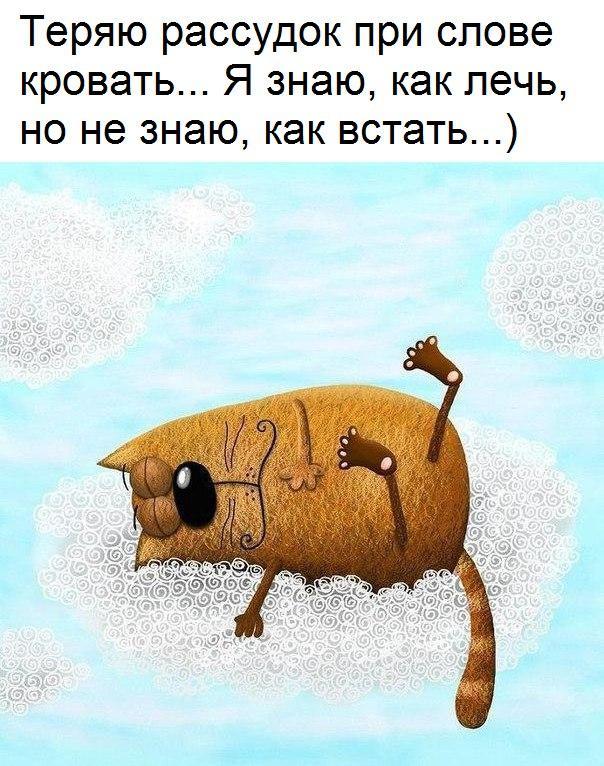 цветы картинка утро юмор картинки зачем
