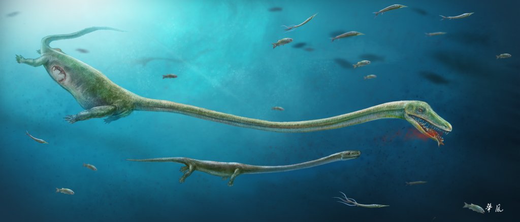 CaraSantaMaria's tweet photo. "Marine reptile gave birth to live young 245 million years ago, a first in fossil record." #archosauromorph
https://t.co/vDAAdCcvEb https://t.co/aOC0qmslgq