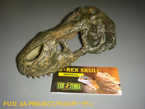 Hideouts Small Exo Terra T Rex Skull Habitat Decor Hideouts