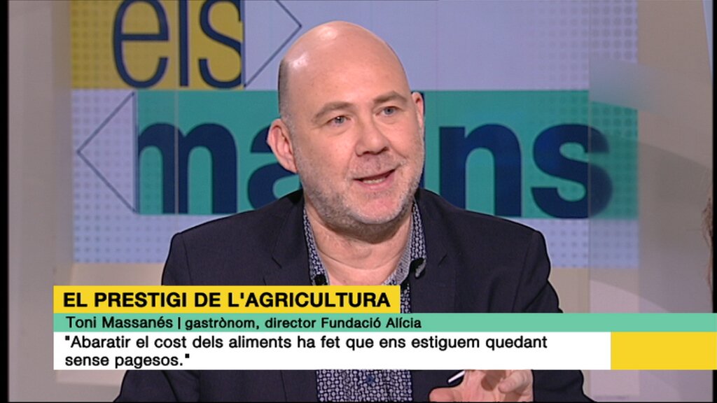 .<a href="/ToniMassanes/">Toni Massanés</a>: Abaratir el cost dels aliments ha fet que ens estiguem quedant sense pagesos #ElsmatinsTV3