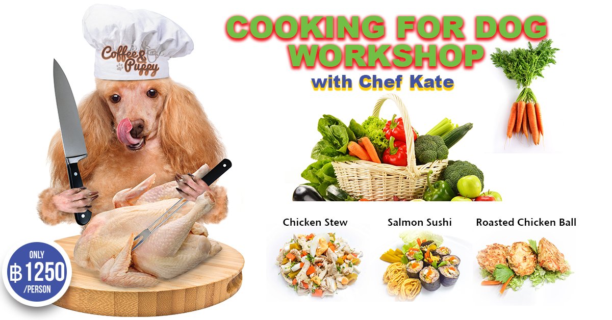 coffeeandpuppy's tweet image. "Cooking For Dogs Workshop" "เวิร์คช็อป เรียนการทำอาหารเพื่อสุขภาพ สำหรับน้องหมาเบื้องต้น" #CoffeePuppy cfpp.me/cfppws