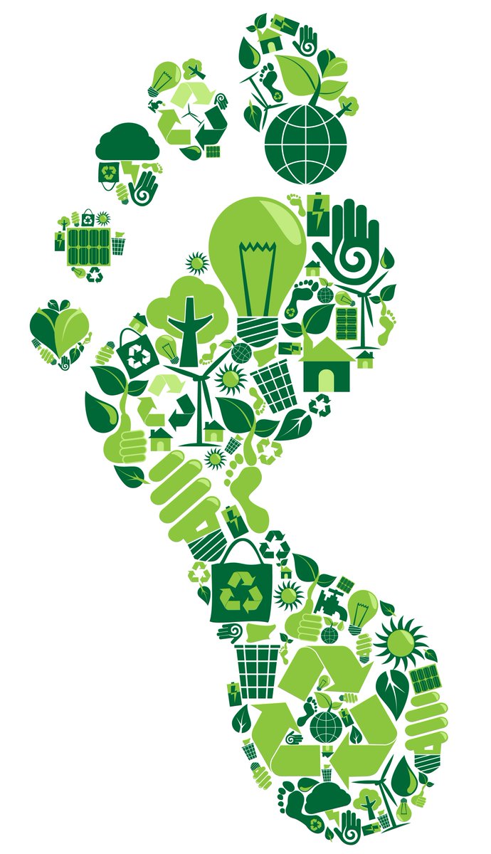 beechhallwaste's tweet photo. As well as providing you with a fast &amp; efficient removal process, we also dispose of your waste in an eco-friendly manner 0208-523-4448 https://t.co/WvJ9Jt6Wxt
