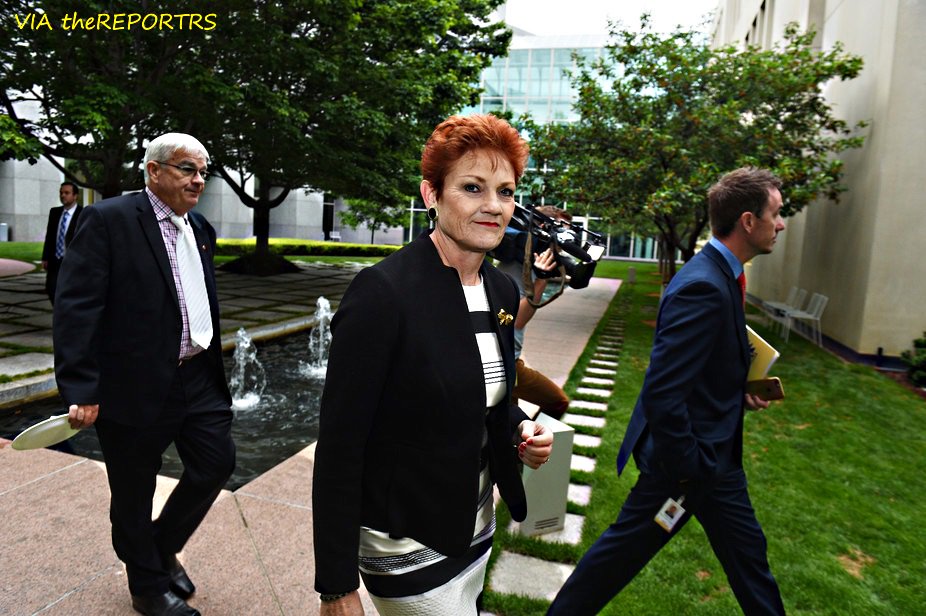 CH🇦🇺 tweet media