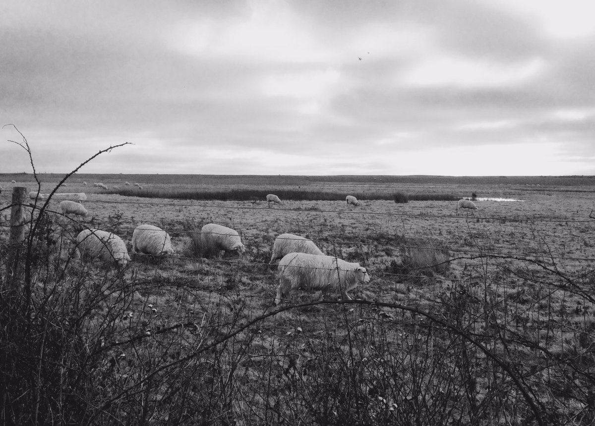 daniCluc's tweet photo. Location of the day :) , #assisting #editorial #nature  #photoassistant #lighting https://t.co/k6H8Jg5Hto