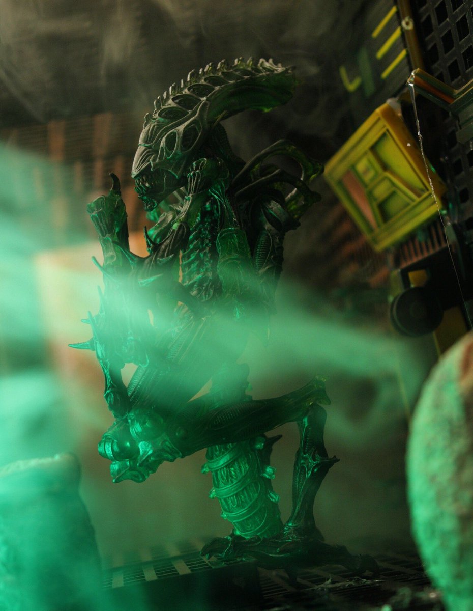 Dryl's tweet photo. 🙏🏼1 Like = 1 Praying Mantis Alien🙏🏼
#mantisalien #alien #xenomorph #neca #mantisxenomorph #necatoys https://t.co/varYumSrqt