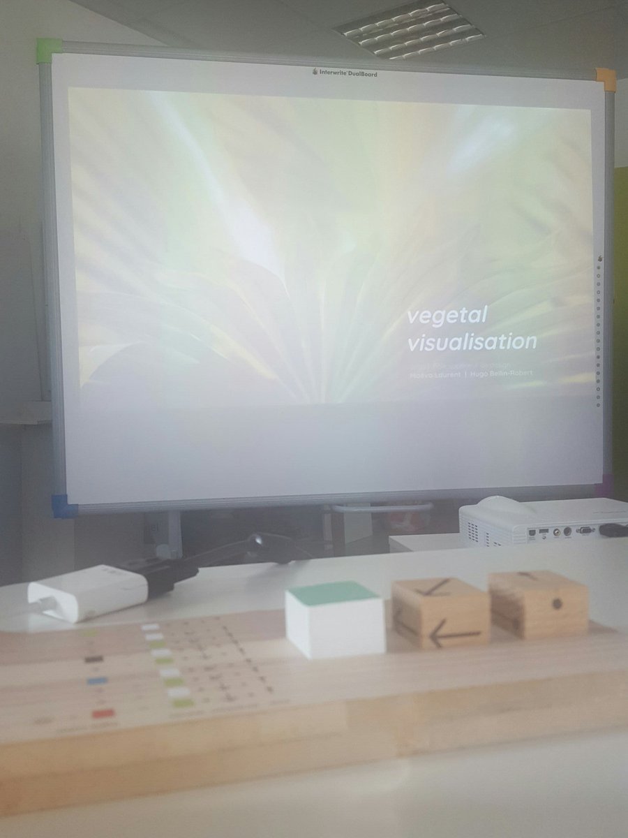 More from @DSAAdesignV students on vegetal visualisation with a focus on light stimuli