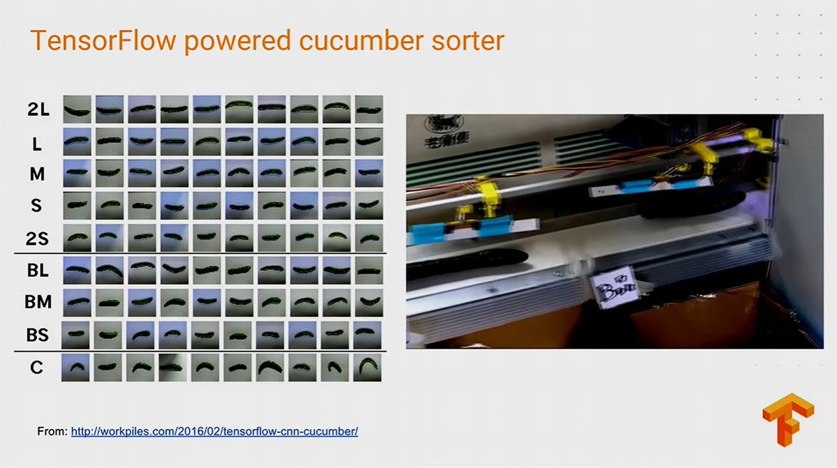 steven2358's tweet photo. Automatic cucumber classification based on shape using a Raspberry Pi and @tensorflow #wildml https://t.co/NN2JTy2thH https://t.co/p6JTl5uhba