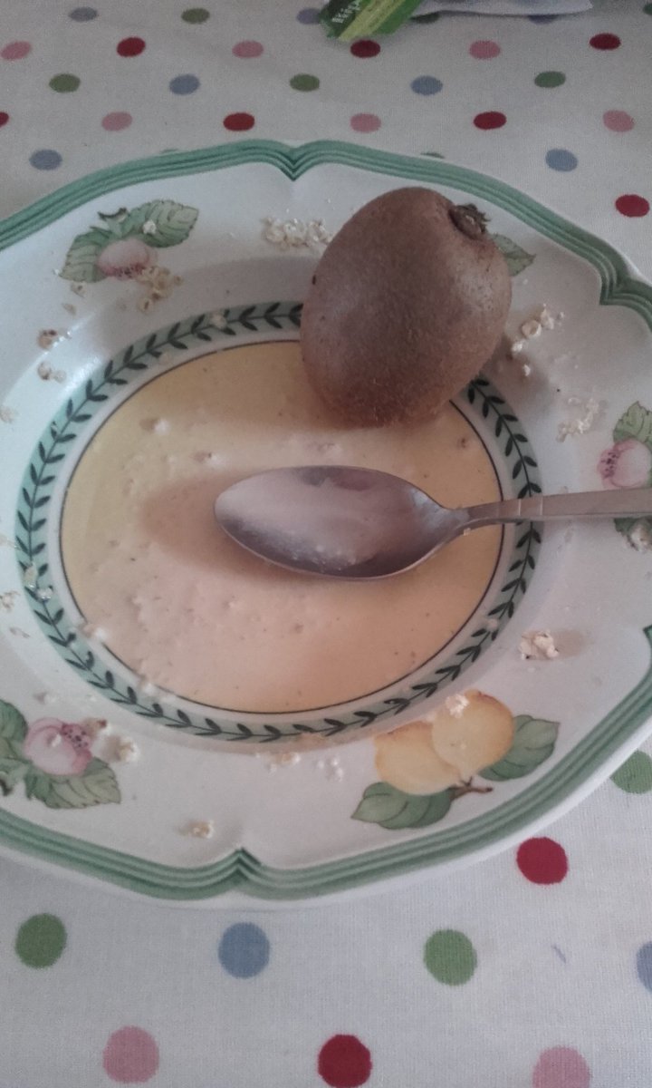 danhealydan's tweet photo. @FlahavansIRL you can't beat a nice warm delicious bowl of Flahavans porridge with some kiwi #OperationOats https://t.co/5VdQXOERWQ