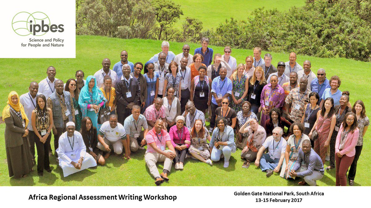 Expert upskilling <a href="/IPBES/">ipbes</a> Africa regional assessment writing workshop #SciencePolicy #biodiversity #ecosystemserviсes