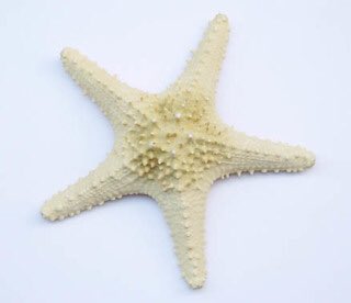 梅津庸一氏 上妻世海 パープルーム 前物語としての時空間 ゲル状の実在性と解釈としての物語 実況 2ページ目 Togetter