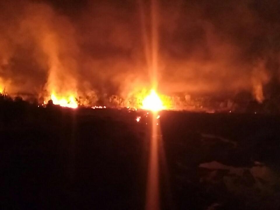 ChhaviNagpal1's tweet image. Deliberate fire set to burn leaves, goes out of control at Sharavati in Hosanagara Taluk, Shimoga! #printpods #insertcomma @ObserveThis16