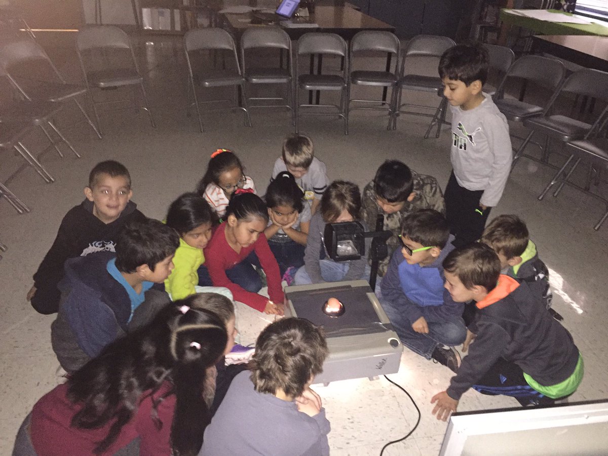 MrsBelksClass's tweet photo. Our last day to candle our eggs! 5 more days until baby chicks are here! #HLEInspire @HighlandLakesEL https://t.co/oSoXGUHa5T