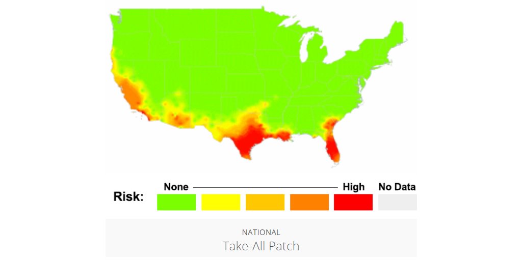 SyngentaTurf's tweet image. Stay ahead of #turfgrass diseases like #takeallpatch with our pest outlook maps. ow.ly/oGDN3092e7f
