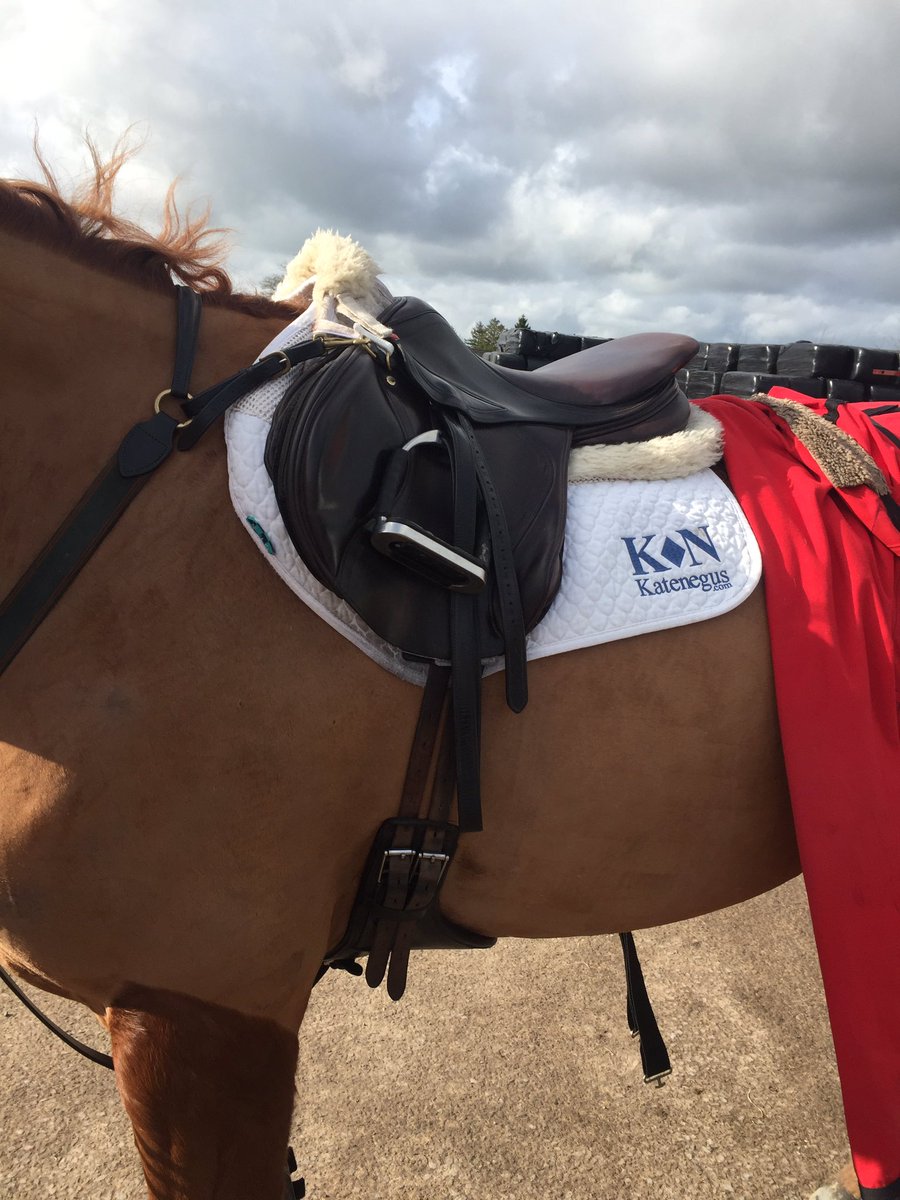 DavidDoel1's tweet image. Out jumping @WestWiltsEC @BritShowjumping @KateNegus