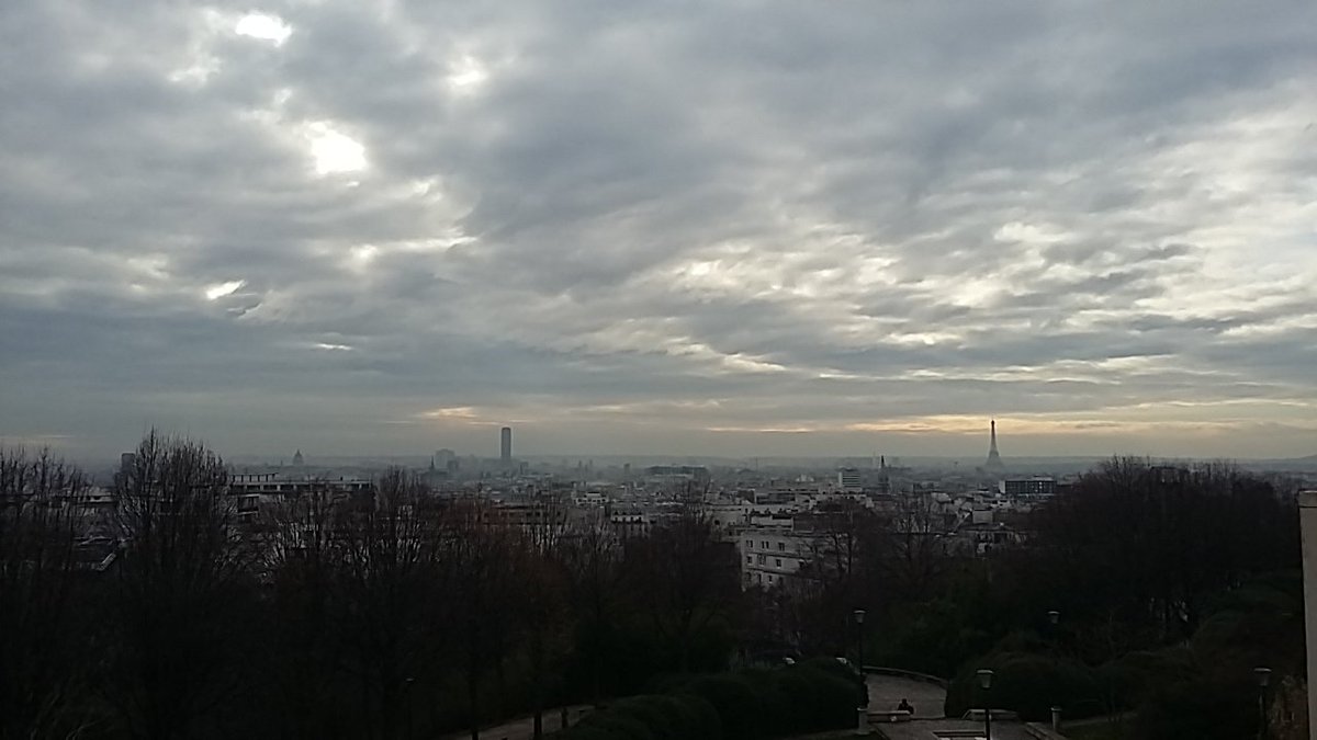 Corpus Delicti tweet media