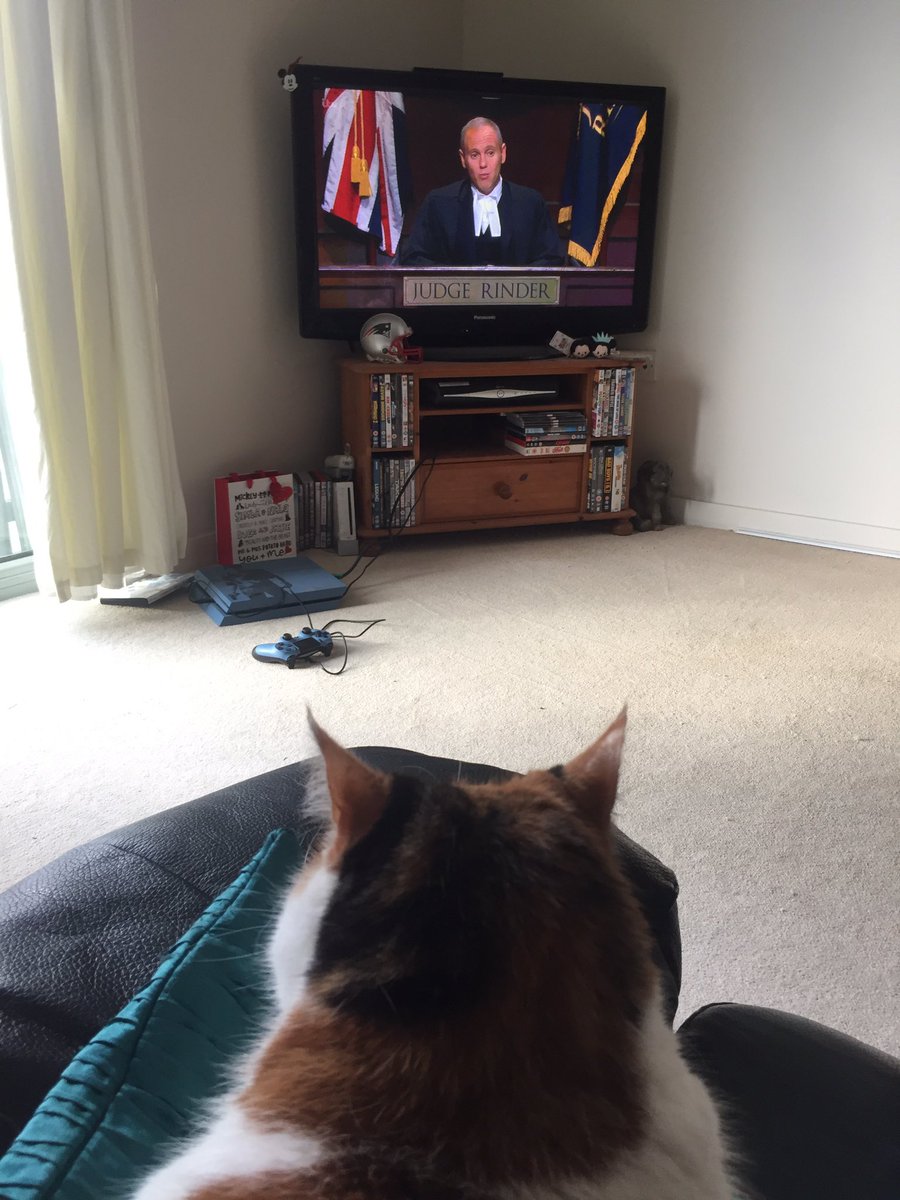 Frankillini's tweet photo. Sweep loves watching @JudgeRinderTV 🐱 #goodtaste #cat #learninglaw #judgerinder #itv1 #catlaw https://t.co/tGQhx3VsZj