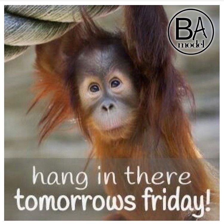 ba_model's tweet image. T: 01708928220
E:  info@b-amodel.com
b-amodel.com

#Model #BeAModel #Modelling #AspiringModel #kidsfashion #kidsmodelling